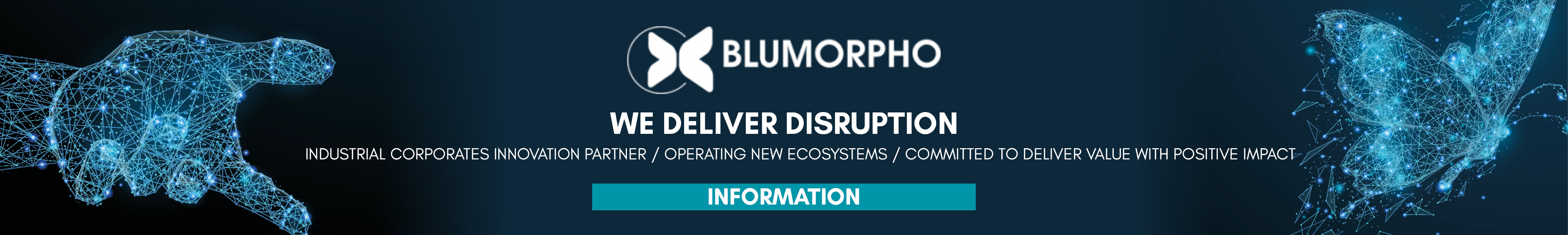 blumorpho advertising information