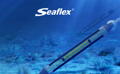seaflex 2